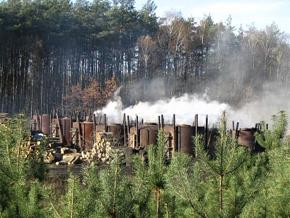 Distanced photo of charcoal kilns, Pine trees in background