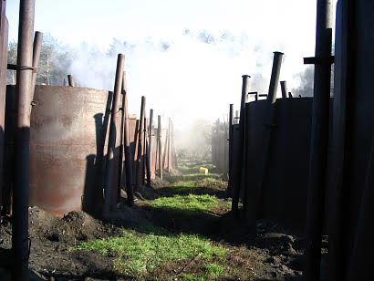 Walkway between the charcoal kilns