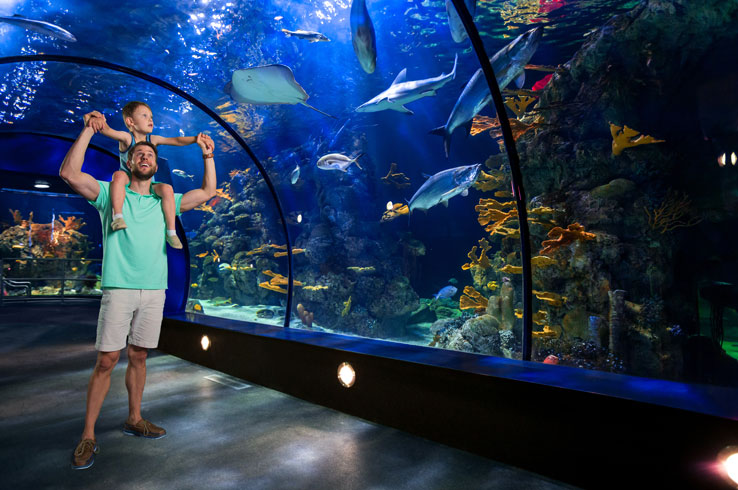 Dad and son viewing aquarium